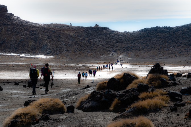 7D091F28-651C-4CE9-ACA2-CF02D2650F47