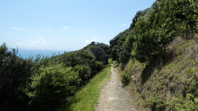 7DE77093-8F9A-4823-8FC3-4033F9CE2068