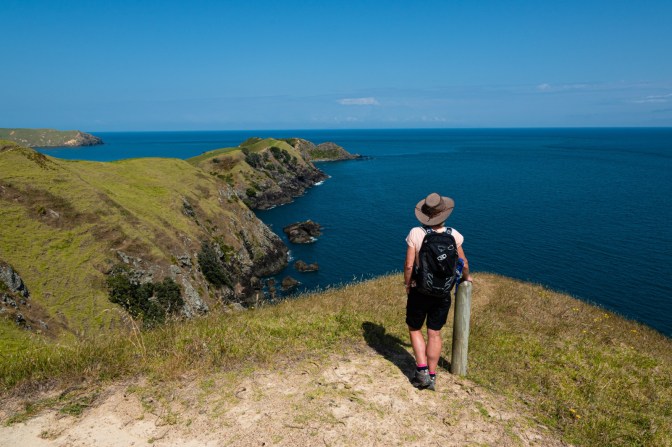 81585959-8047-42C7-895E-1A59B8D842CC