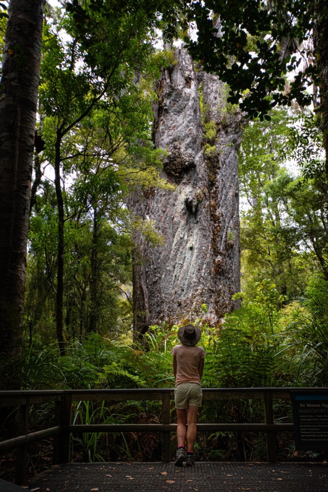 823334F2-AC8F-4854-BFF9-23D358C30767