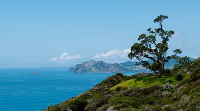 8A567BD6-65B2-47FF-A7C3-376F6DA5E85F