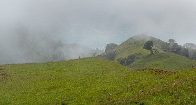 908D8E8E-6F20-4C0D-AB62-FEFB3706F7DB