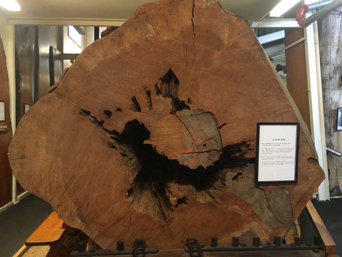 929A5D07-1CD5-4345-8E9B-02053A65ED61