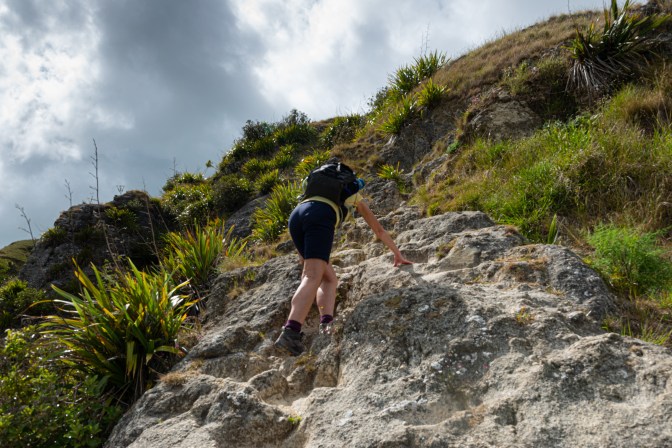 9457FEFC-AECC-4D1C-84D0-6784CC76A944