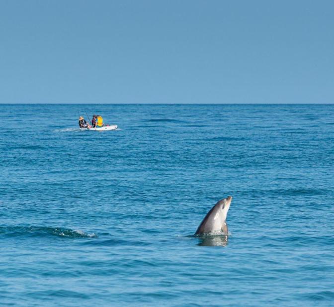 9C1978DE-35DD-4B3F-A2DB-F6A797866278