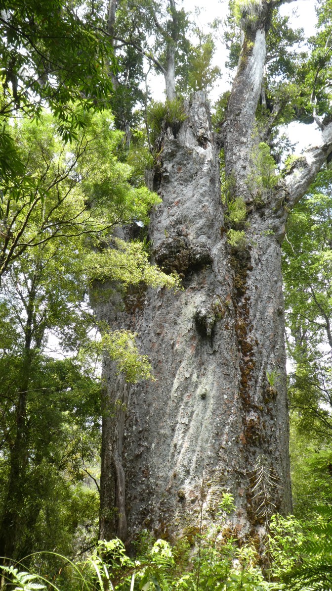 9E8E1AED-3574-476C-BF83-FA0AB767929C