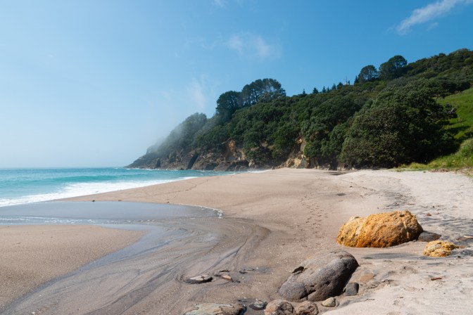 A16DE848-D8CF-43B0-8CE5-5B2930014B17