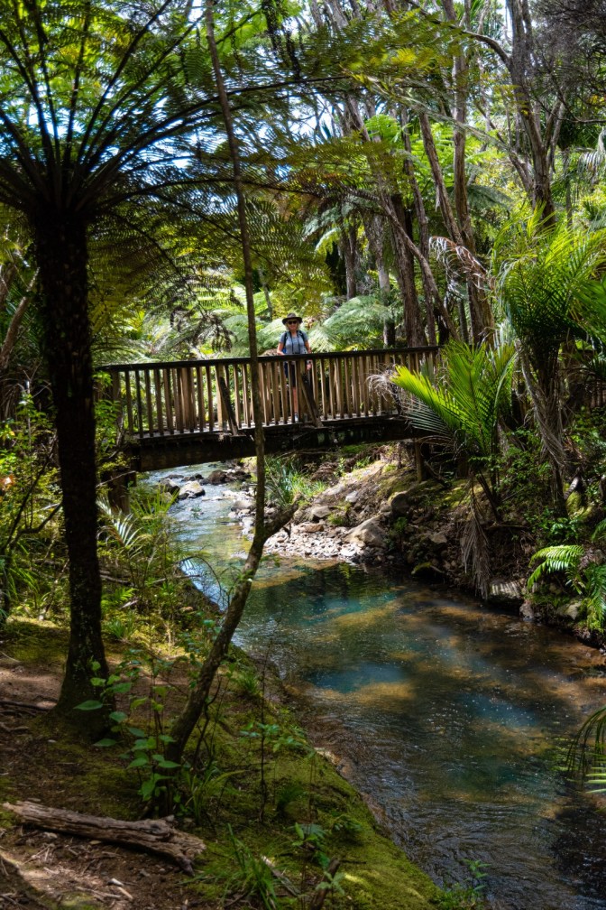 A172CF72-24D1-4AC4-90A6-3B48EF75E079