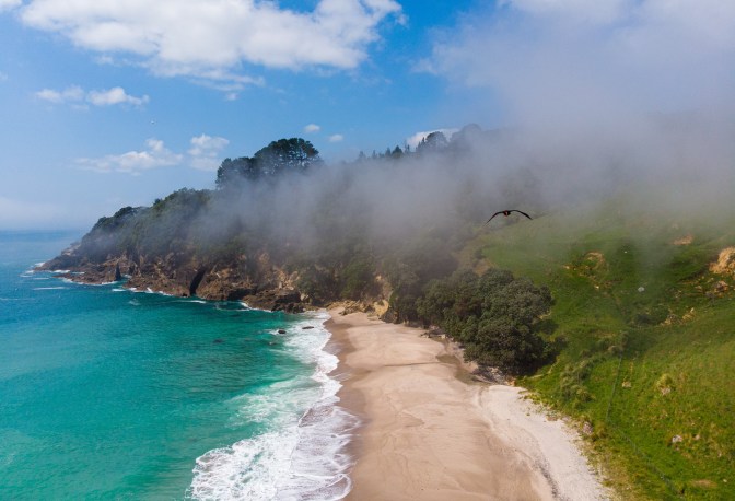 A37EDDD8-F677-43CA-9226-3EF66A40A84E