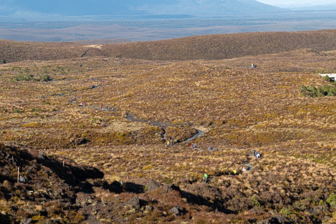 A8C18B35-C36B-4DDF-B9E1-A0119F976C15