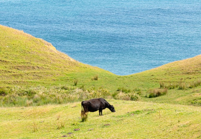 B0AA19A9-E7D8-4510-AC9A-94918181C838