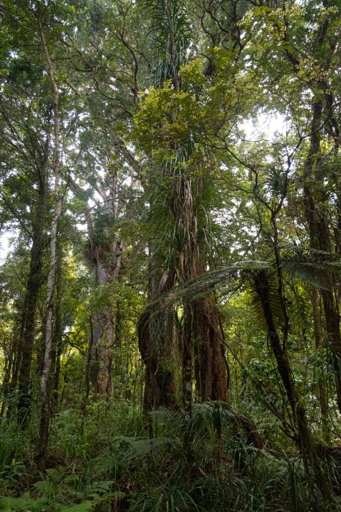 B0FB78FE-5A33-41E9-A80A-83C19565325B