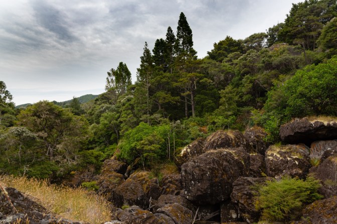 B184962A-3C22-4A94-BBF8-68C4C62F57FA