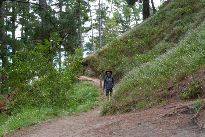 B4B2ED74-8D7F-4A79-B14F-CDD899C79C2B