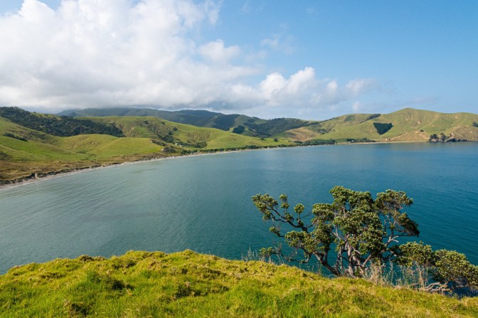 B8B83A60-68B9-4621-90BC-3148FEC9996B