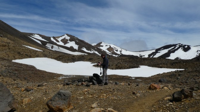 BD6AF0F7-6D94-4215-B8FA-3C2756F848F6