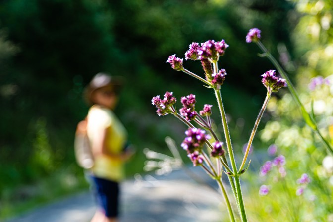 C0C052B7-B7DF-4070-ABD5-7320D7BC476A