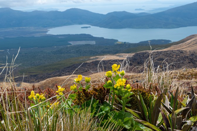 C1470B09-7470-4E96-91EB-C4BC533062CD