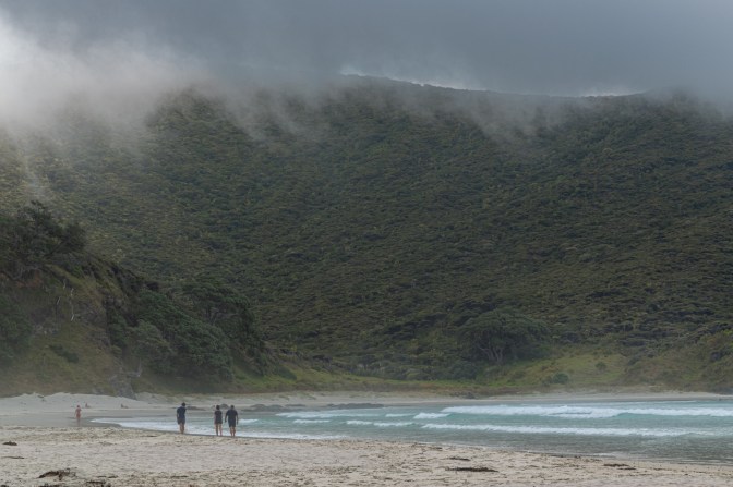 C2EC2D69-6328-411E-9092-B6DB18ABE778