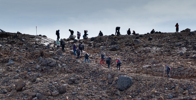 C4DE33F8-6F66-41B5-81A7-37360B24DBFC