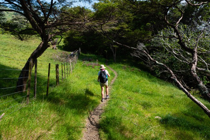 C6884916-A97E-4971-954A-E9C7279C7EAD