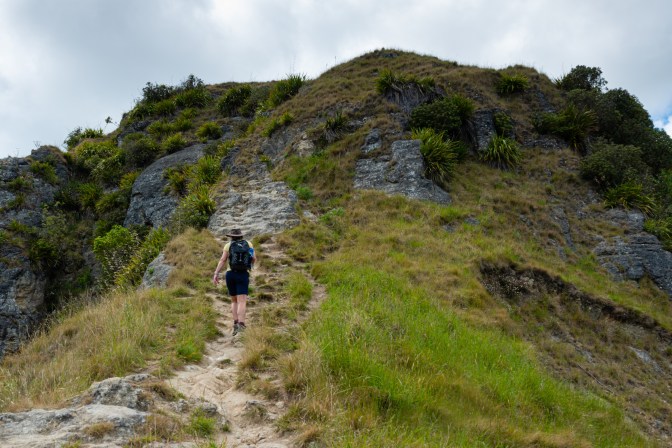 C7704DCB-AEA2-4109-A23B-062C7786FB4C