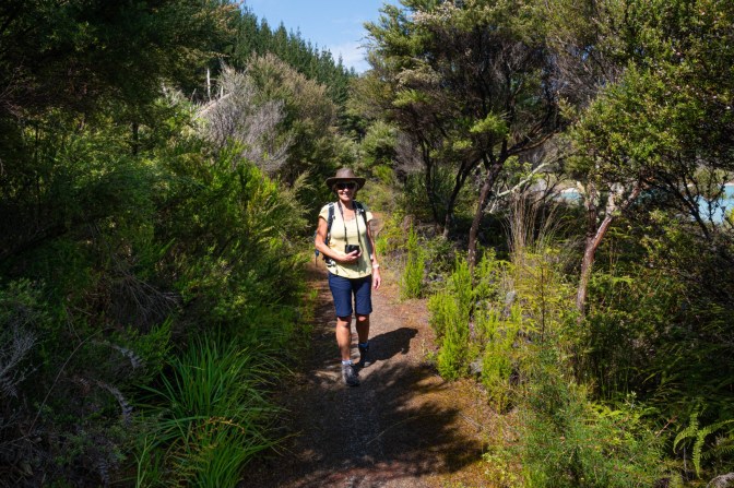 CB712D43-CB4B-4B22-8891-87AF755F58C5