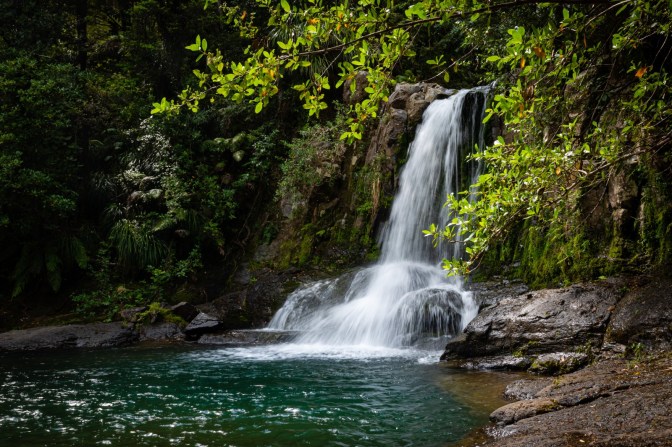 CE7A439D-C5AE-4984-BB26-E90F04F0E63D