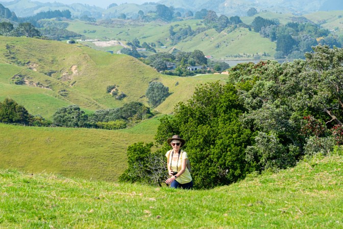 D3FAB865-B8ED-426B-91C3-0E1259FE7895