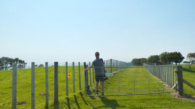 D80C095E-925A-44F8-B67D-2914243C3638