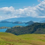 Lion, Fall & a near miss!