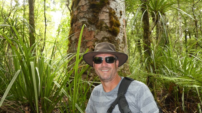 DDCCD776-9CAE-49CC-9090-5C3A73A8DF82