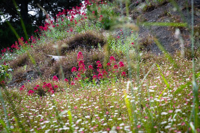 DFB7A0ED-536C-4B90-B3B3-F48A903755AB