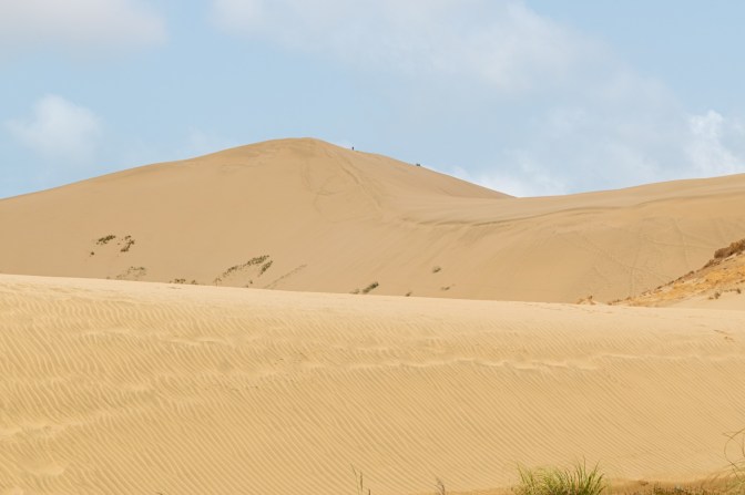 E5573F6E-E35F-4D3F-9D1F-EE9268F03789