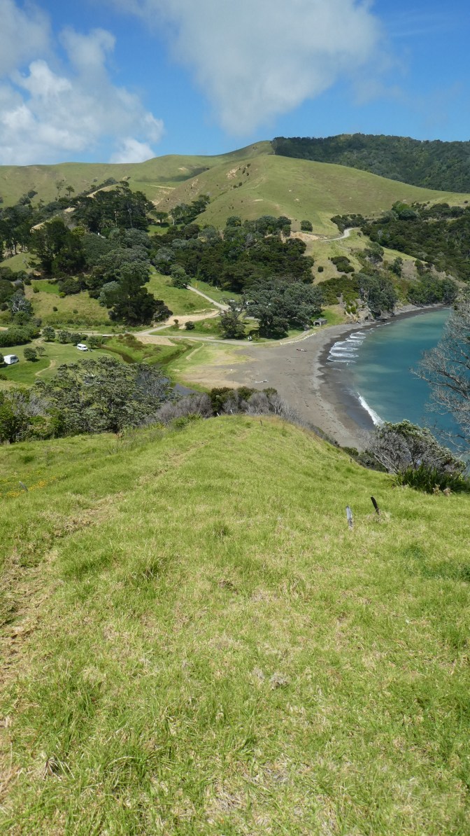 E5E2D722-3FF0-4EF0-8B72-CD7C7BDEF9D4