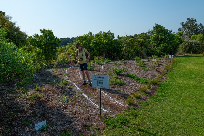 EE99E876-79B7-48EE-BEBA-347810473C38