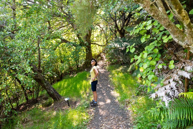 EFA225B8-BA67-4495-B441-DE5B5B0DF8B4