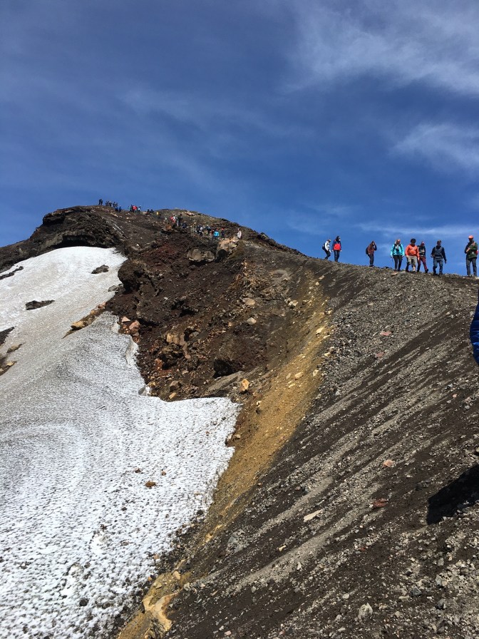 F00650A4-C3CB-4AB5-AA9C-A4ADFA5EABBF