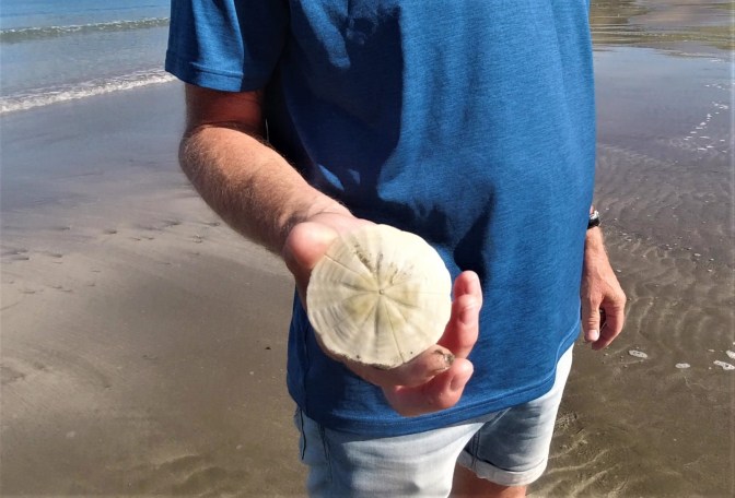 F173FAE7-DAD5-482A-9B04-3360F29E7200