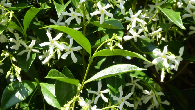 F4001573-EFDB-4C42-AB20-DA907BDA6085