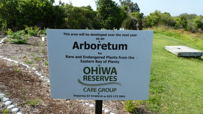 F4438614-7777-40E1-B876-97B68F541DAF