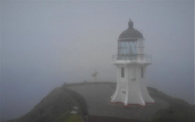 F4878F6B-79AA-4238-AA03-C9DF96238C36