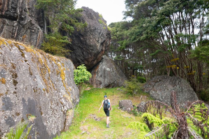 F813D792-569E-4F16-9364-9B3E19A3BCF0