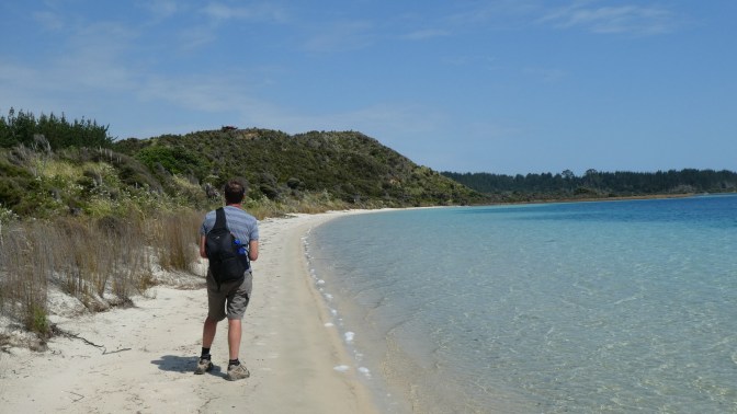 FC66FFC3-84A8-4986-B75F-9251B039E96E