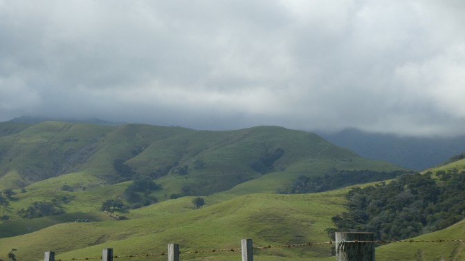 FC868F96-BB46-4136-8CD0-DCFF2AAAB33E