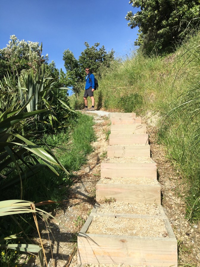 FCBFD7F8-2F5B-4A3D-AEDE-A118CFEF966A