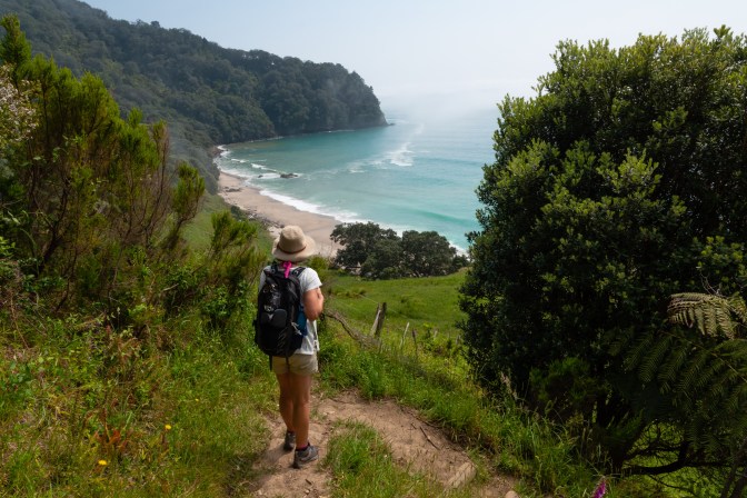 FE58BBAE-4D13-4309-A39F-0D00CA662827