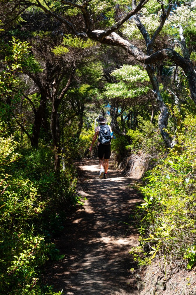 0E25920F-E500-4DE5-B096-39A8098EF322