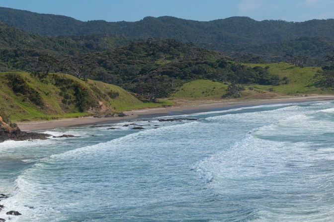 10E49A4F-33AE-44FE-B355-A55CE39AE532