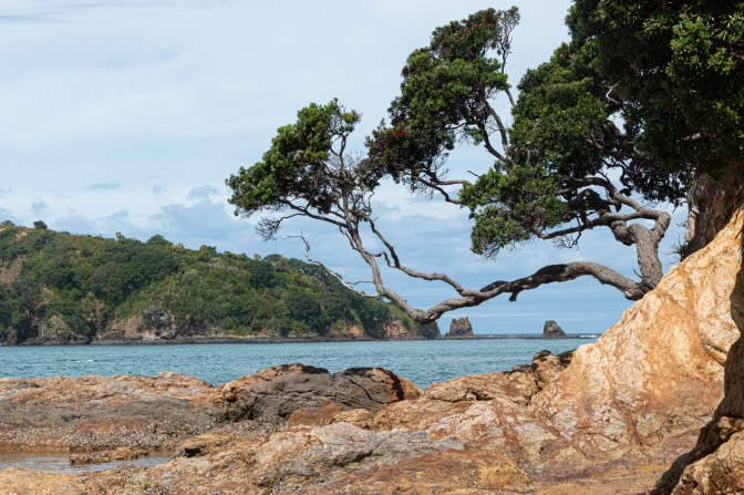 198B1D30-9F75-444D-92D3-57B3CFD4A664